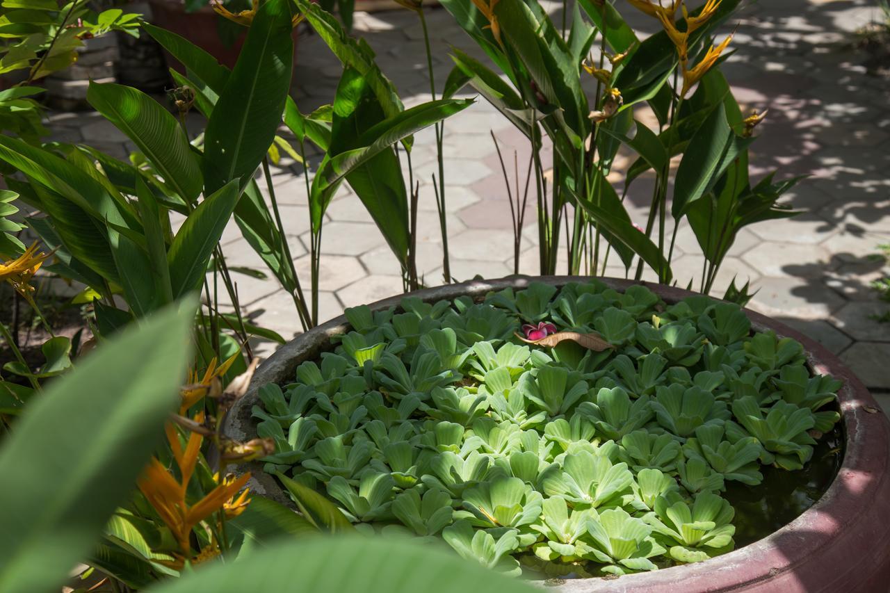 Side Walk Hotel Siem Reap Exteriör bild